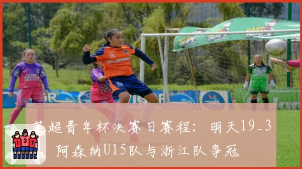 英超青年杯决赛日赛程:明天19_30,阿森纳U15队与浙江队争冠