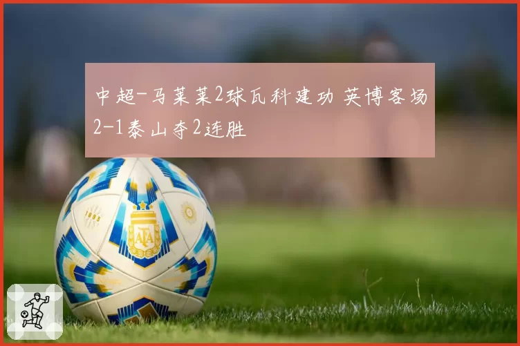 中超-马莱莱2球瓦科建功 英博客场2-1泰山夺2连胜