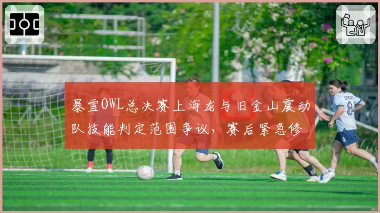 暴雪OWL总决赛上海龙与旧金山震动队技能判定范围争议,赛后紧急修改英雄数据