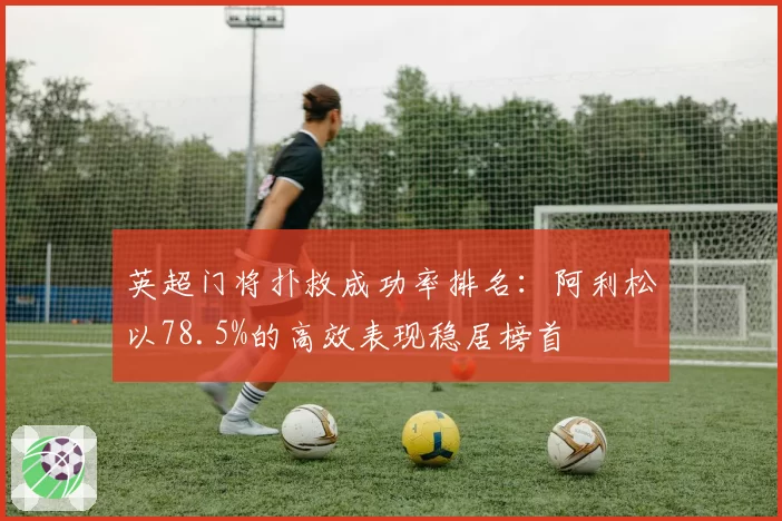 英超门将扑救成功率排名：阿利松以78.5%的高效表现稳居榜首